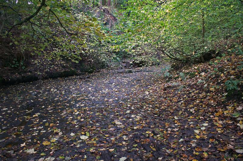 Under Combe Scar. 